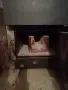 Viessmann Vitolig 150 , снимка 2