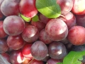 Пресен Бадем, лозови листа, черници, снимка 2