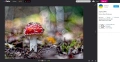 Немски обектив МС PENTACON 50 мм  f/1.8 - М42, снимка 5
