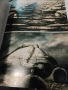 Х. Р. Гигер (H.R. Giger) ARh+ – Арт албум на български език, снимка 4