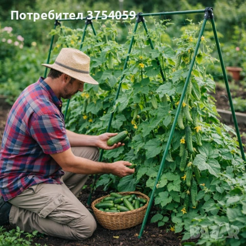 Градинска рамка тип пергола - издръжлива и устойчива - 4 броя