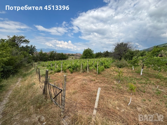 Продавам Лозе, снимка 2 - Парцели - 55010415