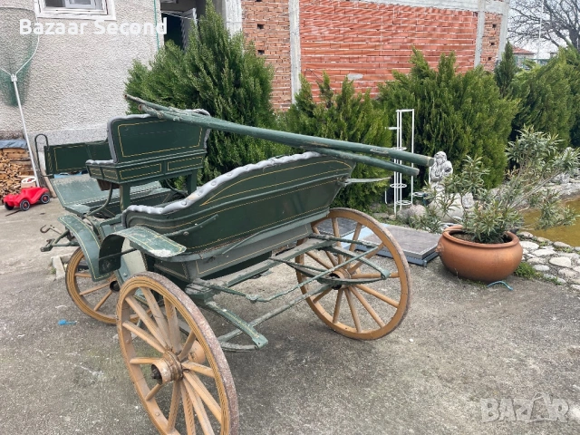 Файтон /Каляска/Карета/Каруца, снимка 10 - Други животни - 54170102