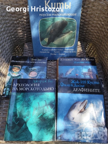 Море. Китове.. Делфини !