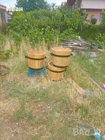 саксии за палми и лимони, снимка 4 - Градински цветя и растения - 55025290