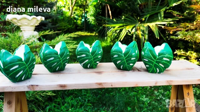 Кашпи Филодендрон!!, снимка 3 - Декорация за дома - 55425952