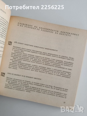 599 Съвета за любителя цветар, снимка 2 - Специализирана литература - 54914771