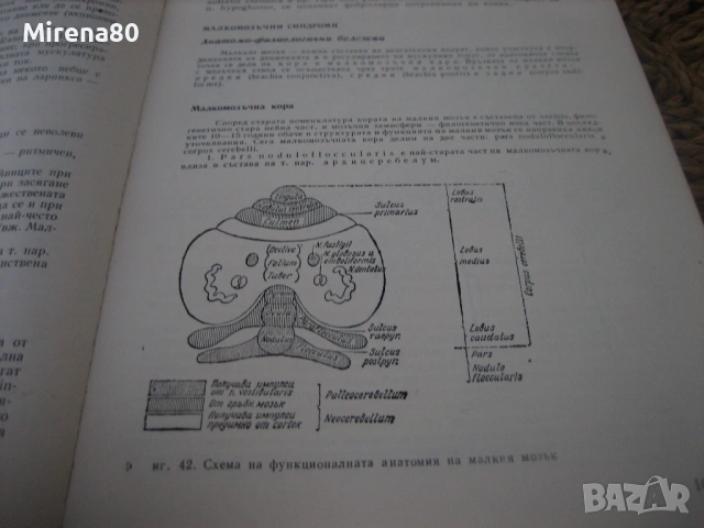 Неврология - 1978 г., снимка 6 - Специализирана литература - 54715493