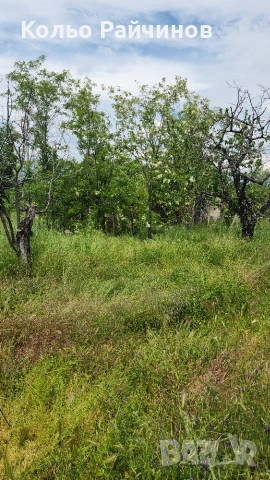 Продавам вила в Хисаря, снимка 6 - Къщи - 55266594