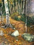 Сняг през есента на Витоша, снимка 3
