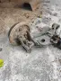 заден мост опел корса б, снимка 2