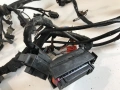 Кабелен сноп на двигателя за Audi A4 2.8 V6 (2001) 8D0971066D, снимка 3