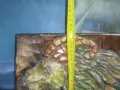 Ръчно резбованите пана представят сложни мотиви , снимка 11