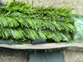 Изкуствено озеленяване за огради 200/300 см, снимка 2