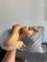 Боа Удушвач / Boa constrictor, снимка 2