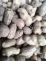 Продавам фъстъци , снимка 3