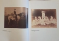 Picturing the South 1860 to the Present, снимка 9