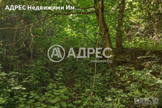 Парцел/Терен, продажба, Смолян, кв. Нов център, снимка 4 - Парцели - 55199427