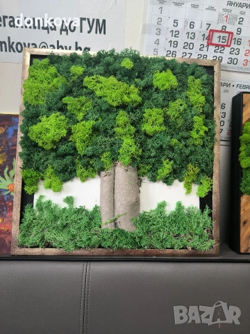 ръчно изработени декорации на живи картини цени от 12 до 65 евро, снимка 14 - Картини - 53941134