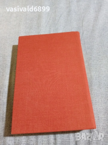 Бенито Галдос - Фортуната и Хасинта , снимка 3 - Художествена литература - 55239150