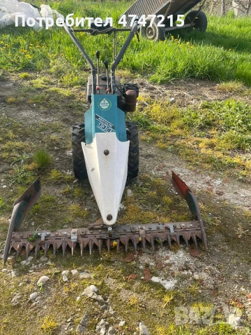 Bertolini 134
