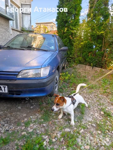 Peugeot 306 1.9 td на части