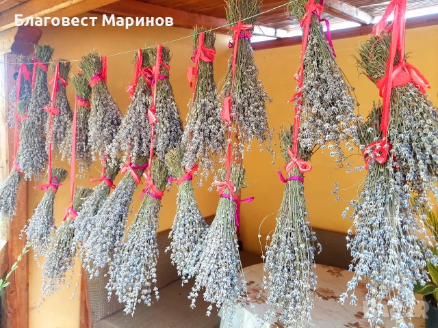 Лавандула сух цвят, снимка 2 - Други - 55125467