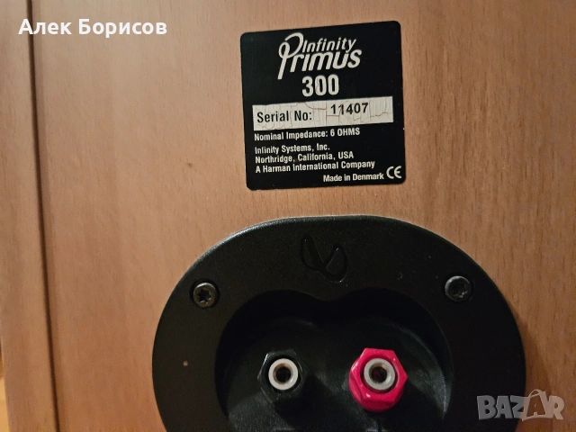 Тонколони Infinity primus 300, снимка 8 - Тонколони - 54887436