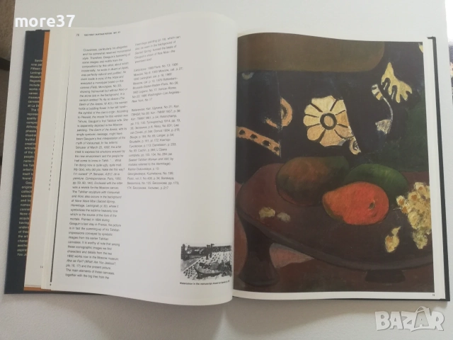 Пол Гоген-рядка книга, снимка 14 - Изкуство, музика, кино и фотография - 55314834