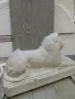циментов лъв....., снимка 3