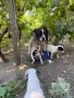 На първата снимка са родителите , снимка 3