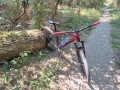 Спринт Аполон 29ц.XL, снимка 4