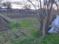 ПРОДАВА УПИ 800 КВ. В СЕЛО ДОБРЕВО ДОБРИЧ, снимка 5