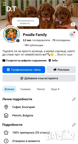 Той пудели момченца, Fci, Genetic, PL,Здравна гаранция, снимка 2 - Пудели - 54209072