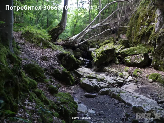 OFF-GRID имение от 8.4 дк в Габровския Балкан – 100% собствена вода и независимост, снимка 17 - Къщи - 55492760