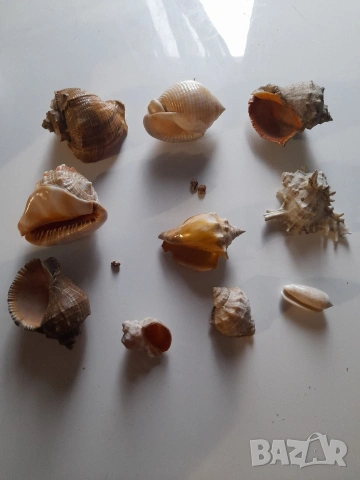 Различни антикварни вещи, снимка 2 - Други ценни предмети - 42134117