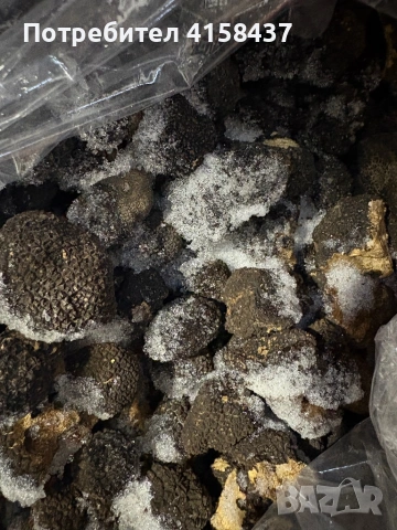 Замразени трюфели цена за килограм