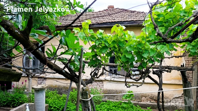 Продавам къща със дворно място в село Михайлово, , снимка 4 - Къщи - 55073937