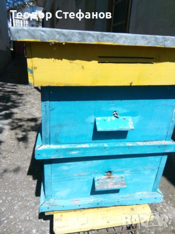 Употребявани многокорпусни кошери