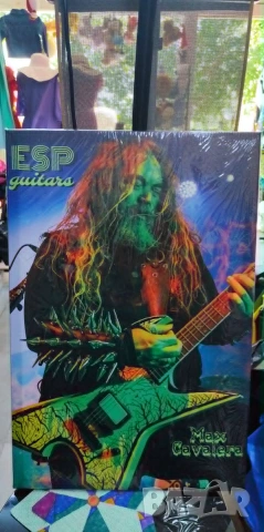 Max Cavalera ESP Guitars-картина в рамка, снимка 2 - Картини - 55246370