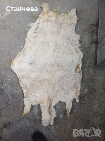 агнешки и кози кожи , снимка 2 - Антикварни и старинни предмети - 53671618