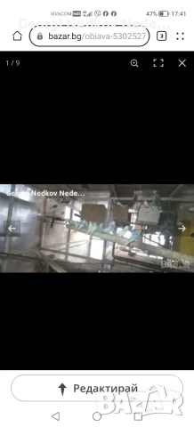 Продавам вълнисти папагали 