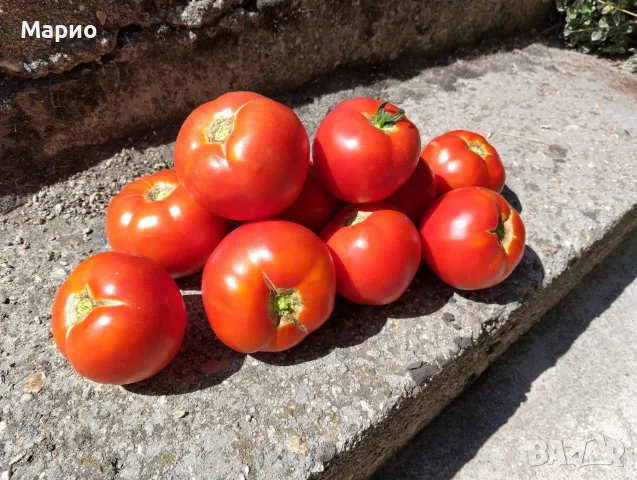 ПРОДАВАМ ДОМАШНИ ДОМАТИ ЦЕНА 1€, снимка 3 - Домашни продукти - 55389807