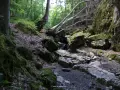 OFF-GRID имение от 8.4 дк в Габровския Балкан – 100% собствена вода и независимост, снимка 17