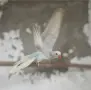 Малък Александър - ръчно хранени, снимка 1