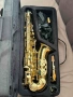 Victory VAS Student 02 Алт саксофон, снимка 1