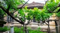 Продавам къща със дворно място в село Михайлово, , снимка 4