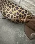 Дамски слънчеви очила Guess, снимка 5