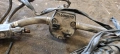 Газов инжекцион Lovato Fiat Stilo 1.6 103к.с. бензин, снимка 3