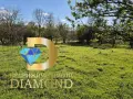 Едноетажна къща в село Орлов дол, общ. Тополовград, снимка 10